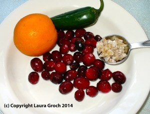 cranberries, orange, jalapeño, ginger