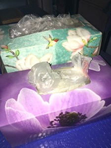 These are my magic boxes of plastic bags. They come with me into the store. (Photo by Laura Groch)